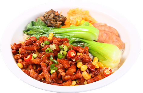 蒸烩煮湘味黄豆卤肉外卖速食盖浇饭料理包